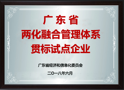 廣東省兩化（huà）融合企業